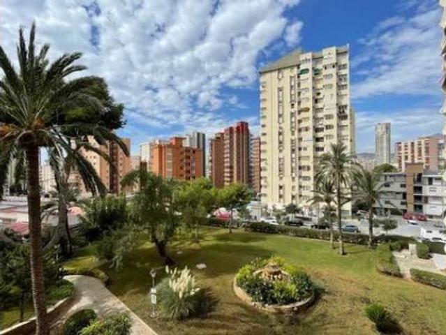 Piso en alquiler en Benidorm, Alacant / Alicante