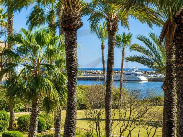 Piso en alquiler en Sotogrande, Campo de Gibraltar