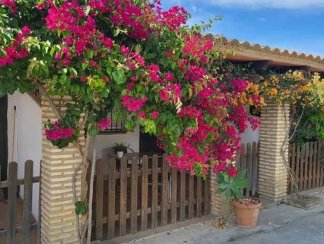 Piso en alquiler en La Janda, Andalucía