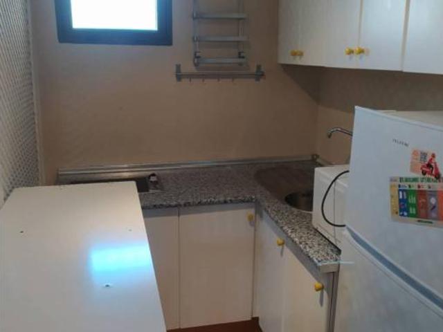 Piso en alquiler en Urbanización cataleya, Costa del Sol Occidental