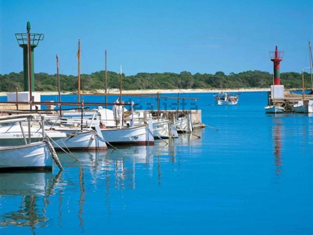 Piso en alquiler en Salines, Ses