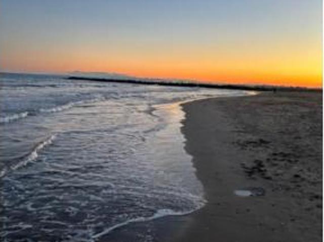 Piso en alquiler en Platja de la Pobla de Farnals, l'Horta Nord