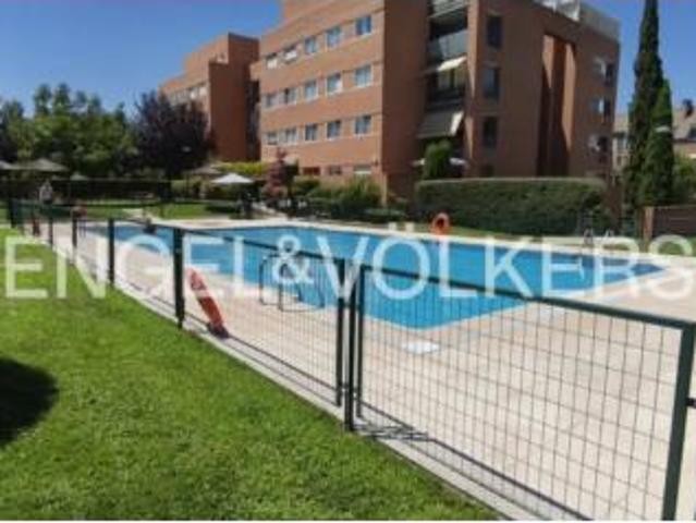 Piso en alquiler en Las Rozas De Madrid, Madrid