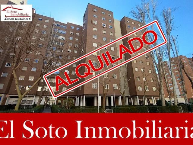 Piso en alquiler en Parque Coimbra, Móstoles