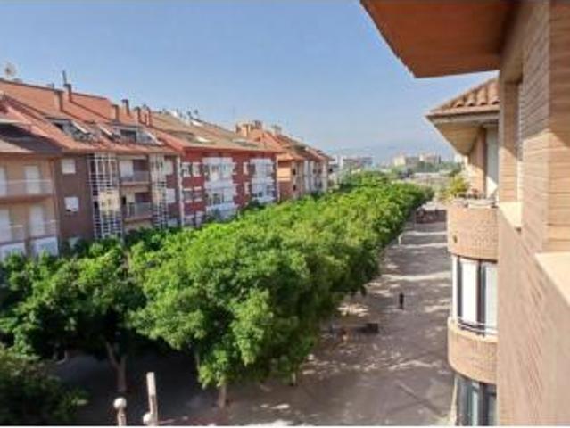 Piso en alquiler en Murcia, Área Metropolitana de Murcia