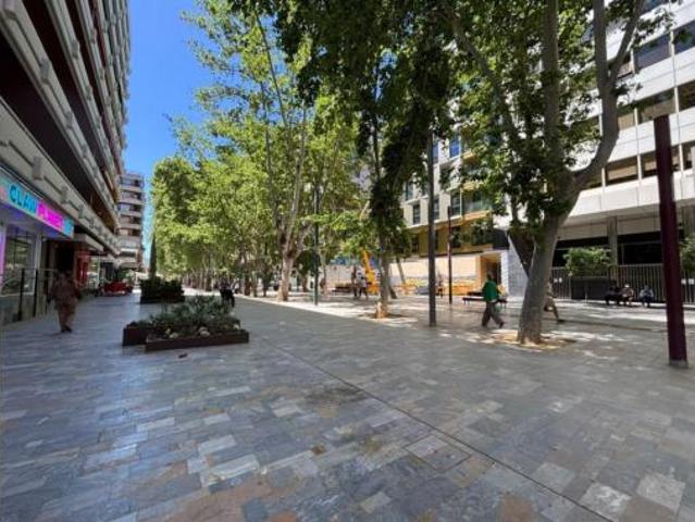 Piso en alquiler en Murcia, Área Metropolitana de Murcia