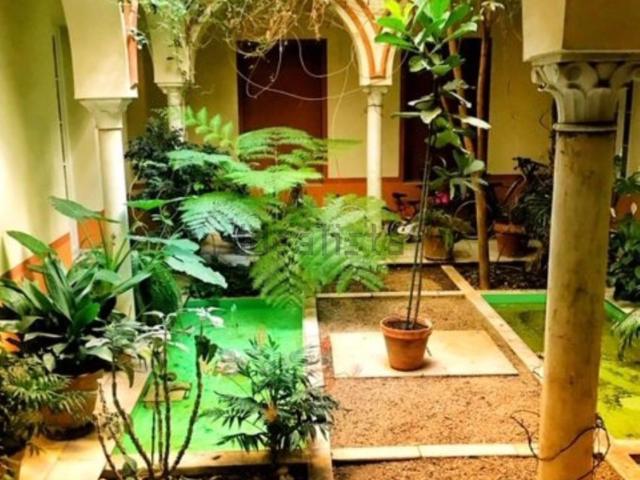 Piso en alquiler en Casco Antiguo, Sevilla