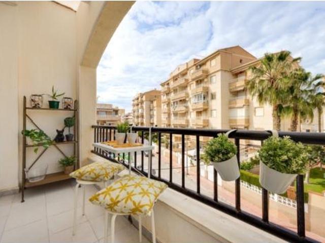 Piso en alquiler en El Palmeral, Torrevieja