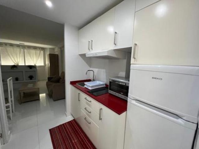 Estudio en alquiler en Torre del Mar, La Axarquía