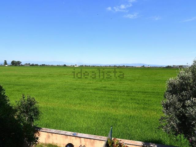 Piso en venta en Amposta, l'Eucaliptus