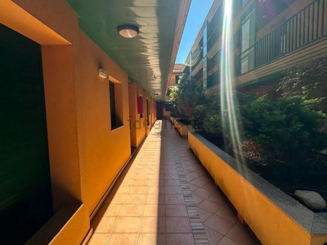 Piso en venta en l'Eucaliptus, Montsià