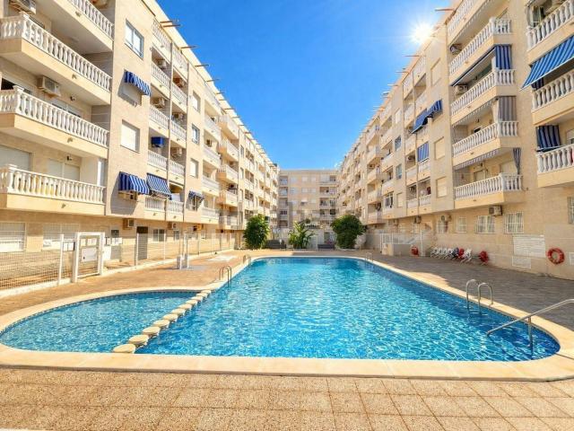 Piso en venta en El Palmeral, el Baix Segura / La Vega Baja