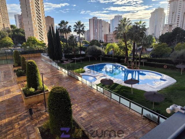 Piso en alquiler en Benidorm, Valencia