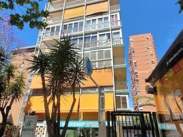 Piso en alquiler en Benidorm, Llevant