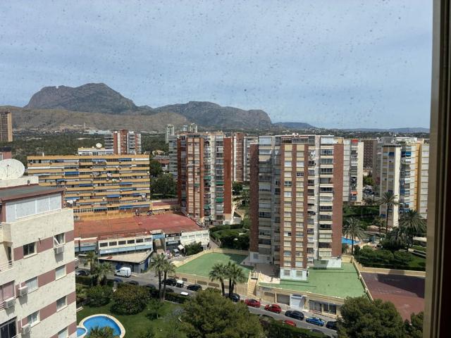 Piso en alquiler en Benidorm, Ponent