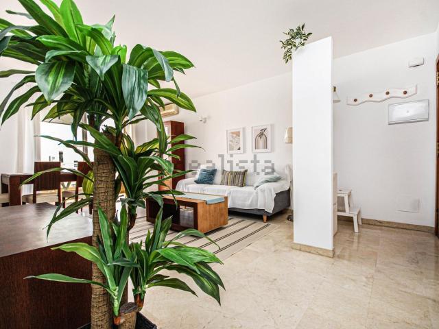 Piso en alquiler en Palma