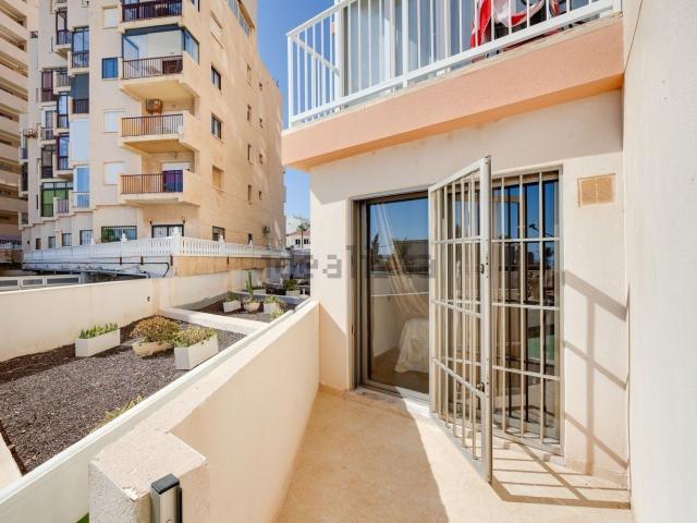Piso en alquiler en Cabo Cervera-Playa la Mata, el Baix Segura / La Vega Baja