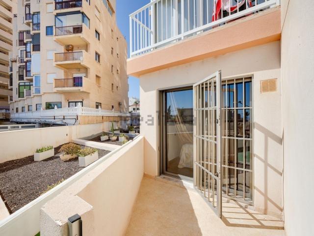 Piso en alquiler en Cabo Cervera-Playa la Mata, el Baix Segura / La Vega Baja