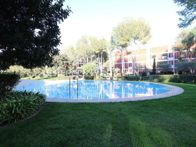 Ático en alquiler en Calvià, Portals Nous