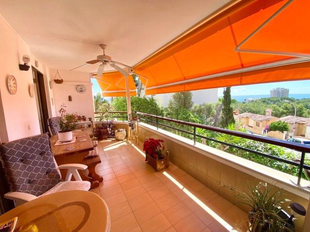Dúplex en venta en Calvià, Serra de Tramuntana