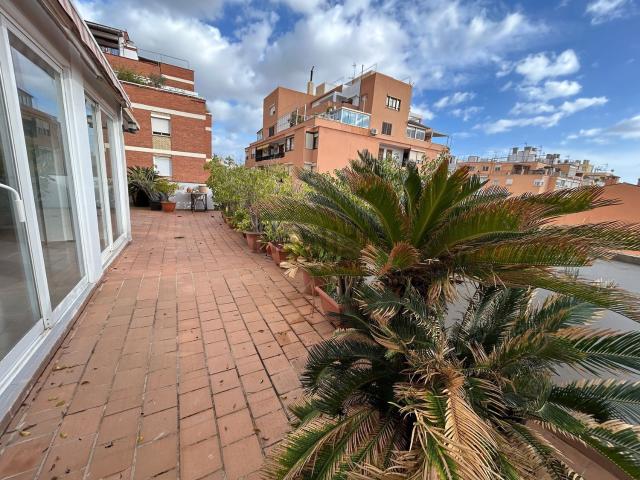 Ático en alquiler en Son Serralta, Palma