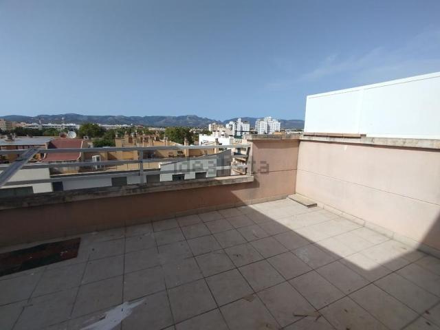 Ático en alquiler en es Camp Redó, Palma