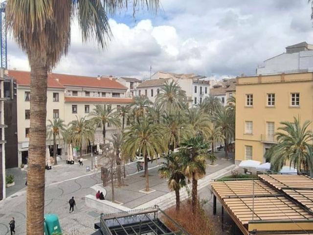 Piso en alquiler en Centro, Comarca de la Vega de Granada