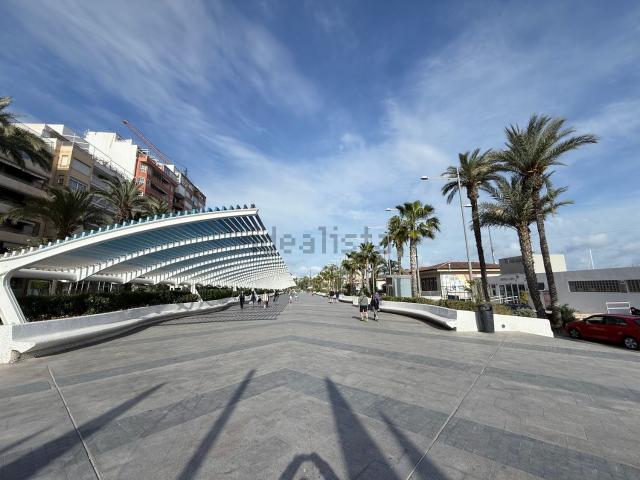 Piso en alquiler en Torrevieja