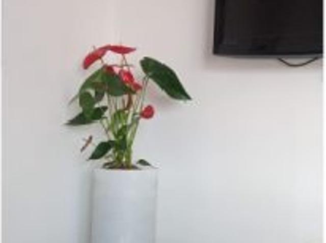 Piso en alquiler en Son Coc, Palma