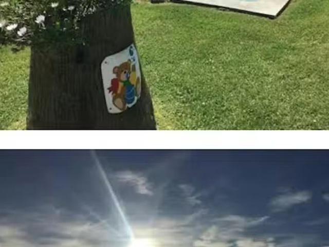 Apartamento en alquiler