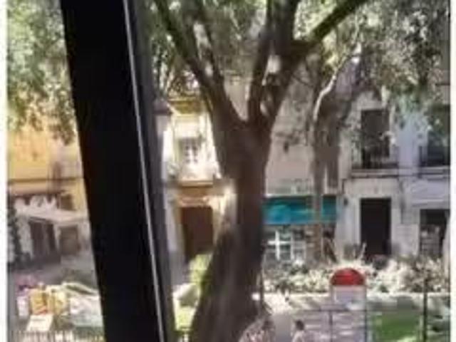 Apartamento en alquiler en Casco Antiguo, Sevilla