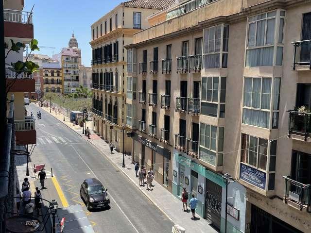 Apartamento en alquiler en Centro, Málaga-Costa del Sol