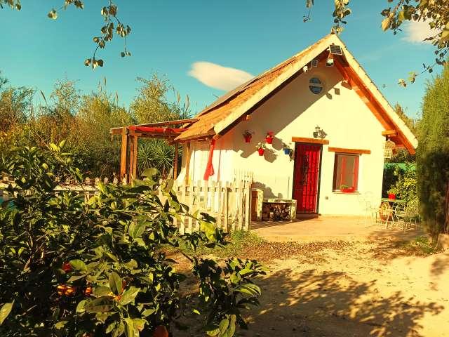 Apartamento en alquiler en La Ñora, Área Metropolitana de Murcia