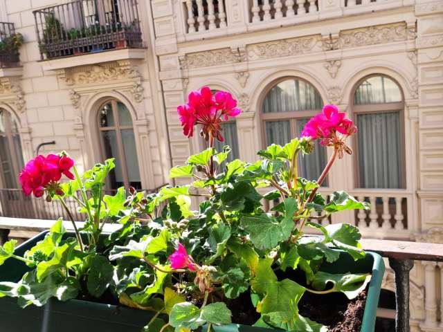 Apartamento en alquiler en Ibaiondo, Bilbao