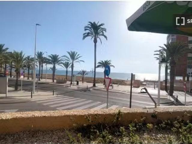 Apartamento en alquiler en Complejo Bella Vista, Elx / Elche