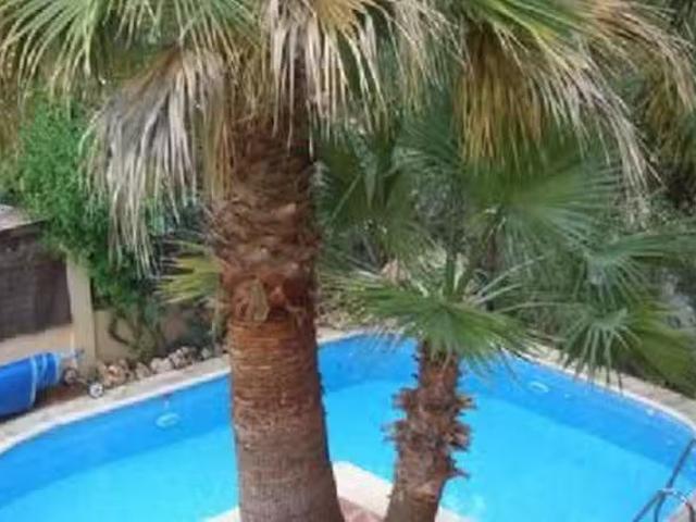 Apartamento en alquiler en Campo-Mijas, Costa del Sol Occidental