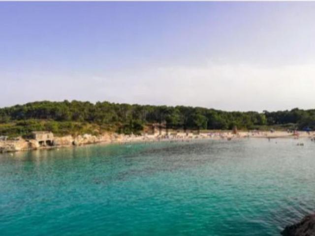 Apartamento en alquiler en es Cap des Moro, Migjorn