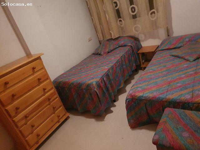 Piso en alquiler en Torrevieja, El Palmeral
