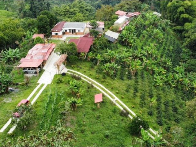 Hotel de lujo de 32000 m2 en venta Filandia, Colombia