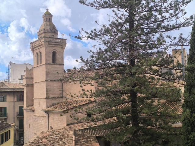 Piso en venta en Canamunt, Palma