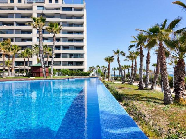 Piso en venta en Urbanización Punta Prima, el Baix Segura / La Vega Baja
