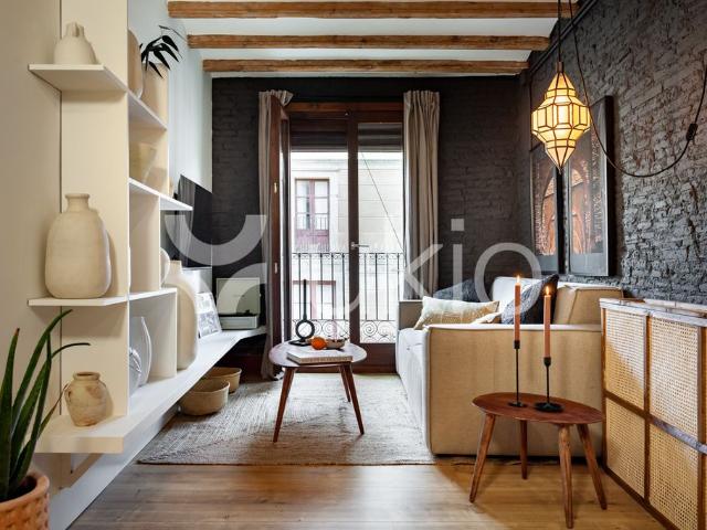 Piso en alquiler en Barcelona, Ciutat Vella