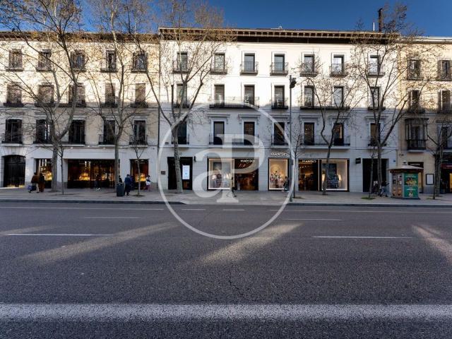 Piso en alquiler en Madrid, Recoletos