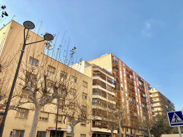 Piso en alquiler en el Baix Segura / La Vega Baja, Valencia