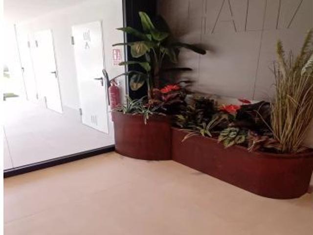 Piso en alquiler en Ciutat Jardí, Segrià