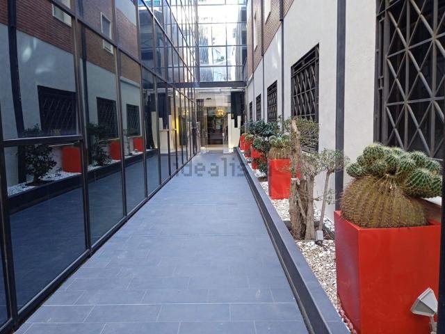 Ático en alquiler en Barri Port / Centro, Dénia