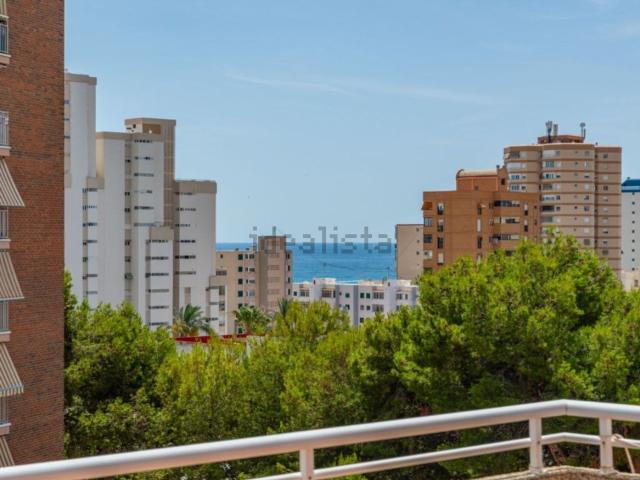 Ático en venta en Urbanització L'Almadrava, l'Alacantí