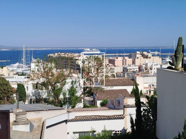 Ático en alquiler en El Terreno, Palma