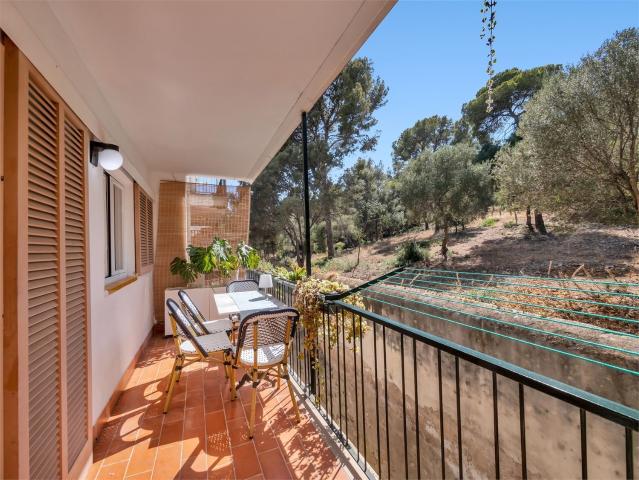 Piso en venta en El Terreno, Palma