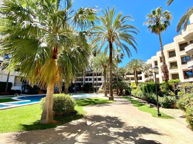 Dúplex en alquiler en El Terreno, Palma